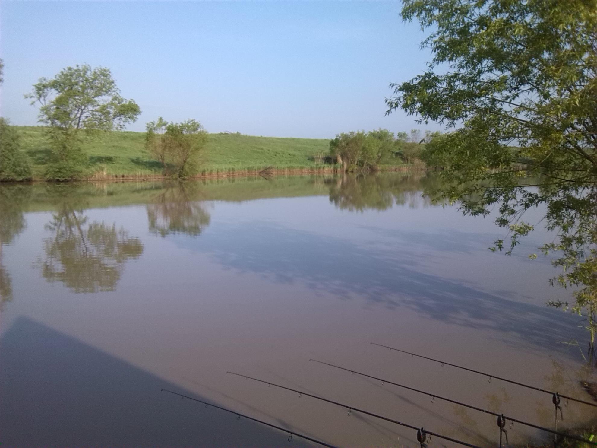 lilieci teleorman - img20140501081449.jpg